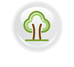 Ashdown Lodge Care Home